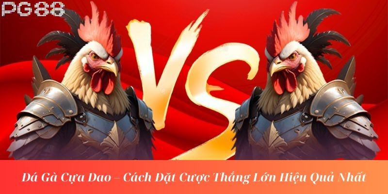 Đá Gà Cựa Dao – Cách Đặt Cược Thắng Lớn Hiệu Quả Nhất